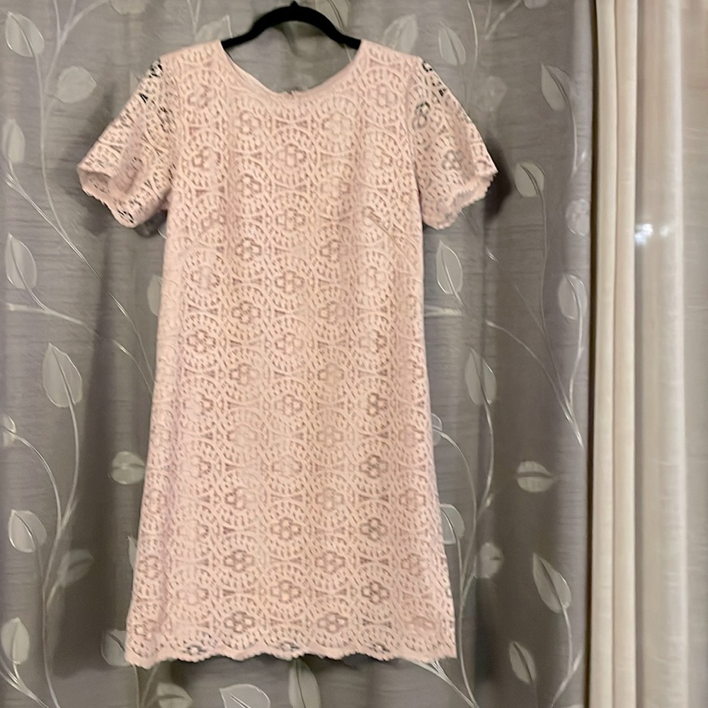 ANN TAYLOR Fully Lined Lace Dress in Soft Blush Pink